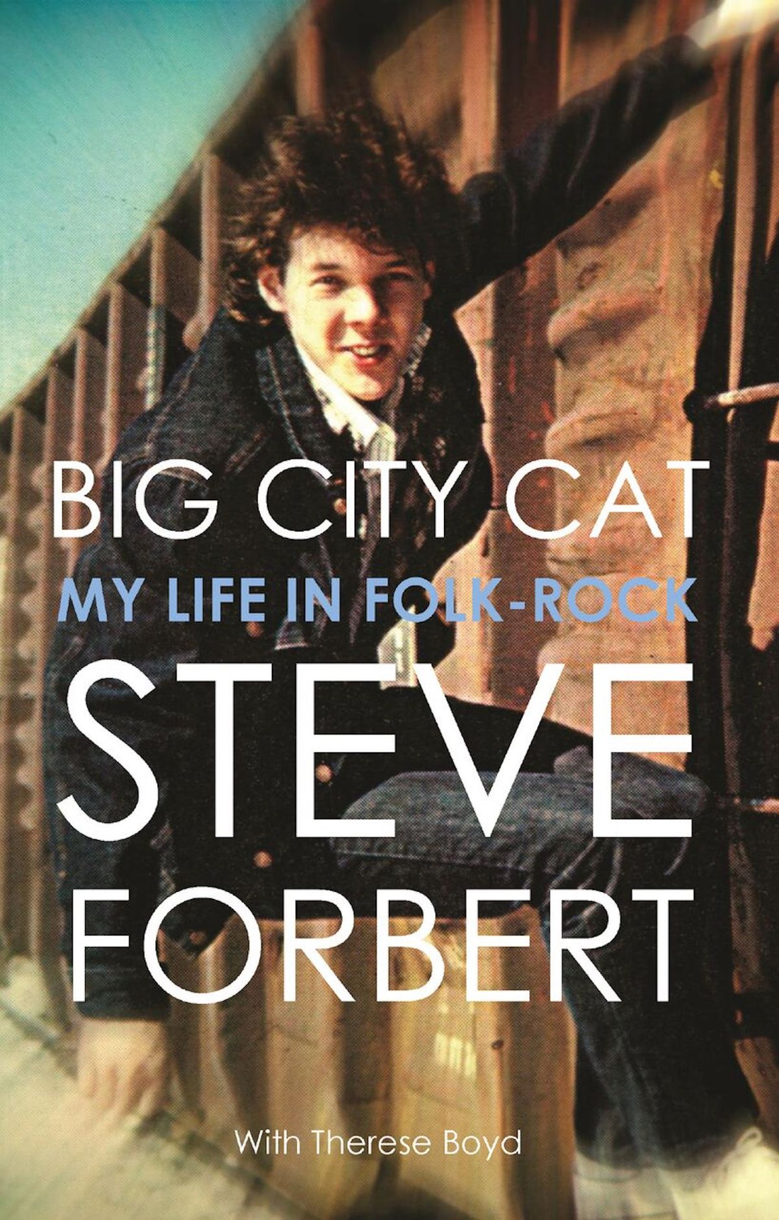 Steve Forbert Big City Cat Book Cover