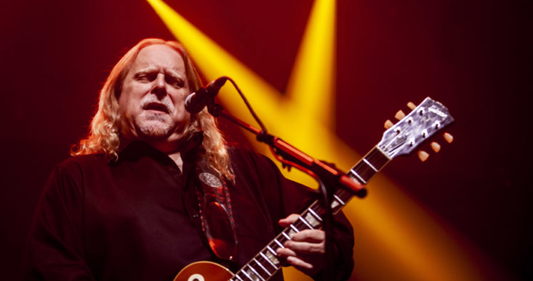 Govt Mule